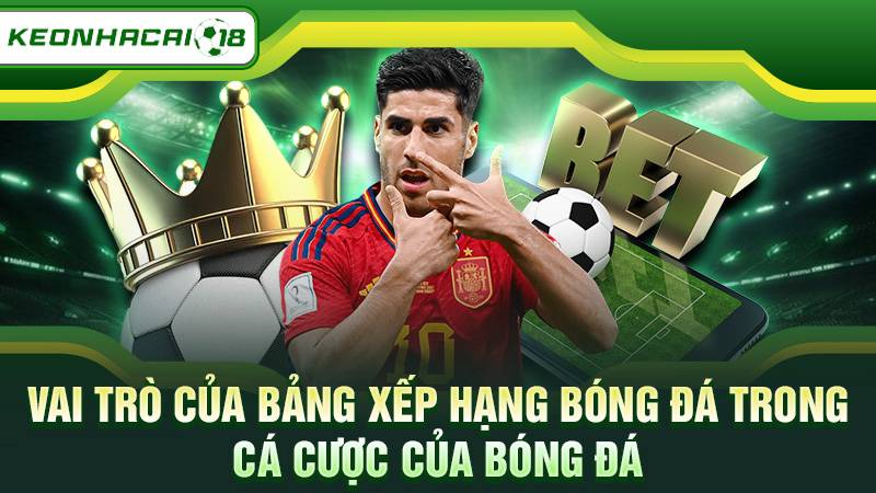 Vai trò của bảng xếp hạng bóng đá trong cá cược của bóng đá